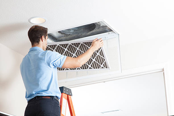Best Best HVAC companies  in Warrenvle, IL